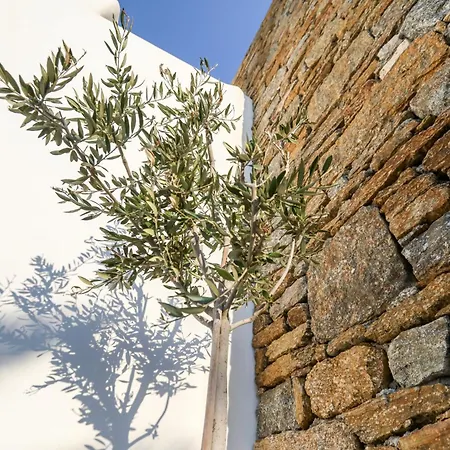 Mykonian Kazarte 别墅 Mykonos Town